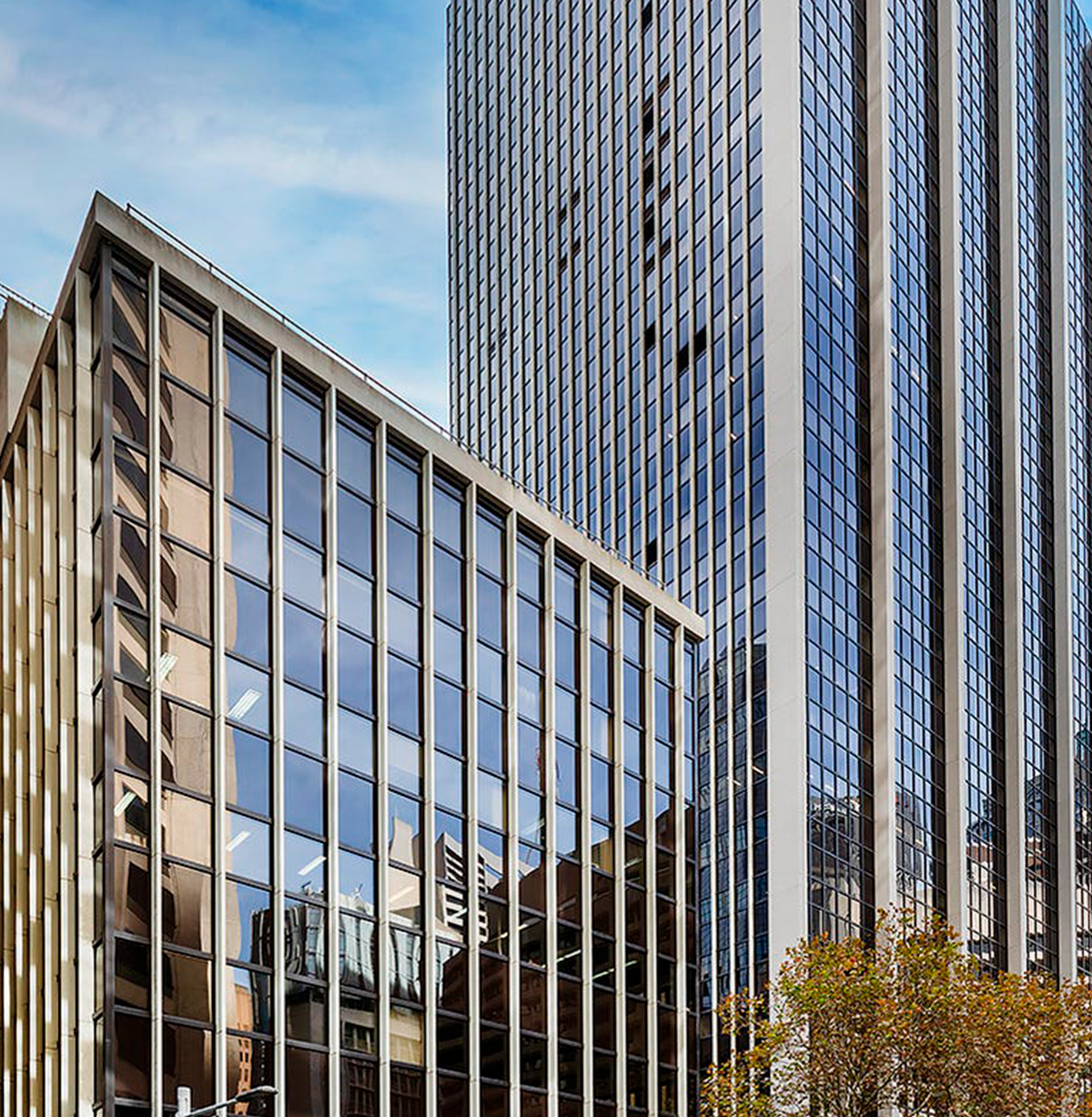 10 Bond Street, Sydney
