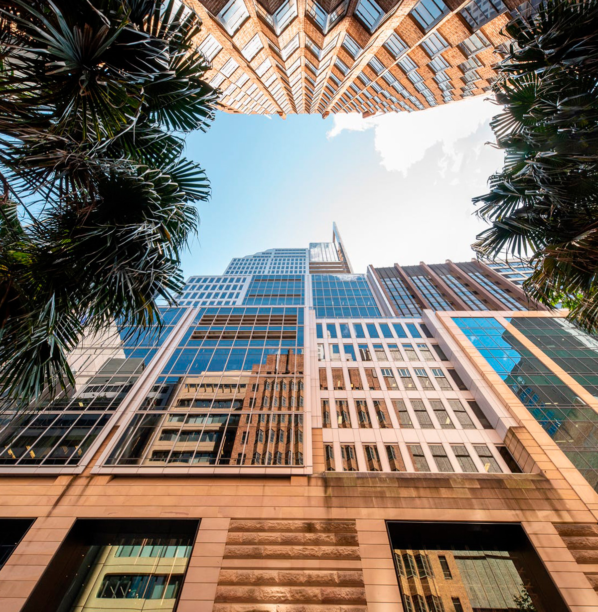 Angel Place - 123 Pitt Street, Sydney